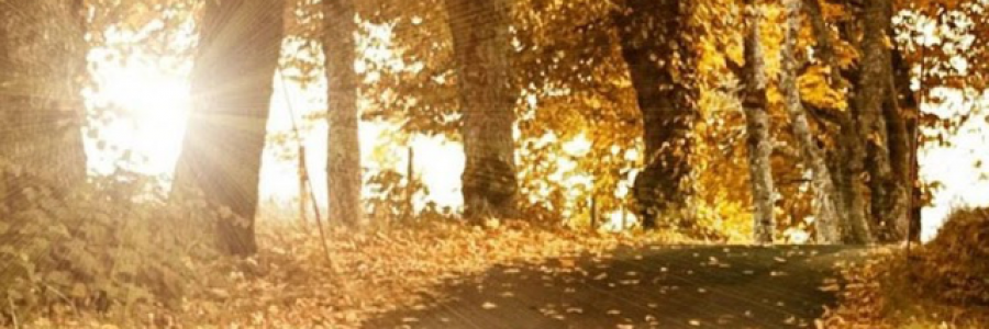 Cover image for post Deja Vu, by HaruHaru