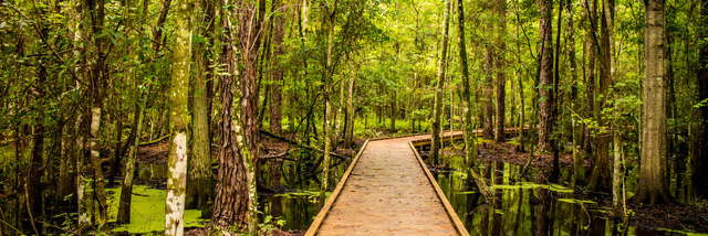 Cover image for post Untitled, by RaneMcC