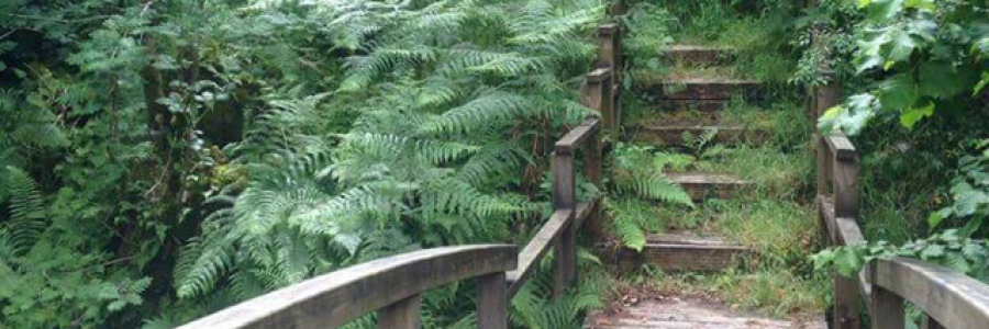 Cover image for post Control, Power & A Strong Mind, by Ryan_Aitken