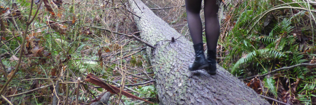 Cover image for post she's floating somewhere between here and mars now because you were her gravity but you up and left, by paintingflowers