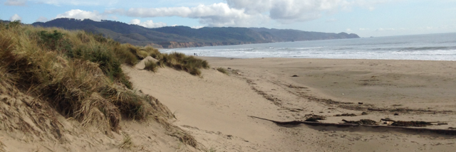 Cover image for post Journey, by ZaiSequoyaNelso