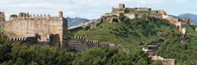 Cover image for post Neal, by JaimeMathis