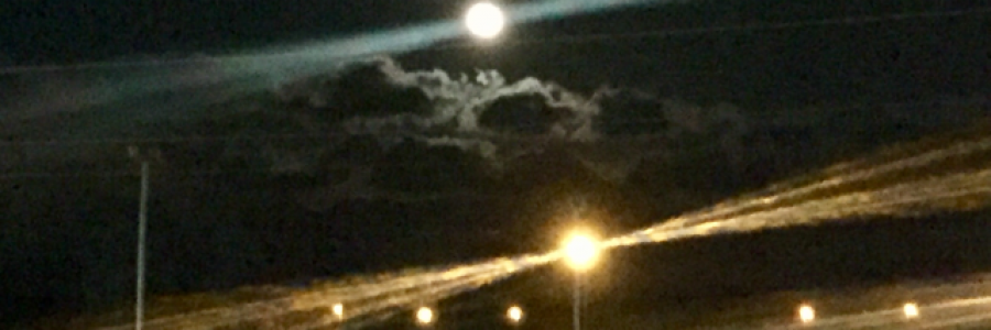 Cover image for post Ask you something, by Daprod245