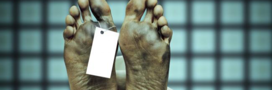 Cover image for post I see dead people RIP RIP, by Tyreekmessam