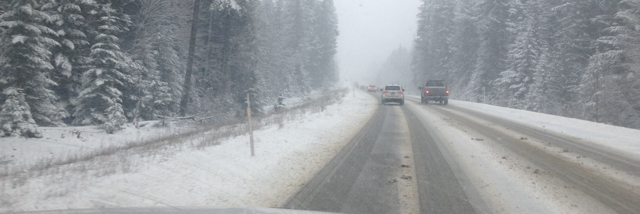 Cover image for post And This Just In, by Gracenote