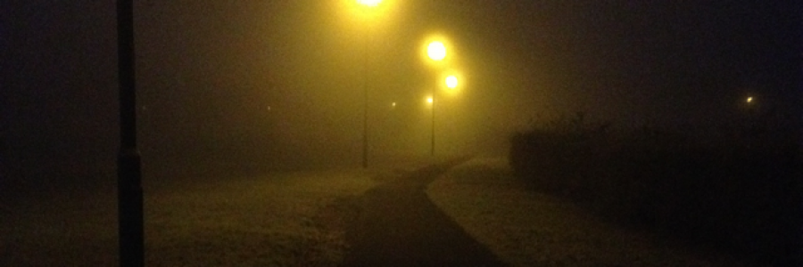 Cover image for post To Love Is To Survive, by Ryan_Aitken