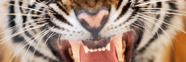 Cover image for post 9 Years Old Again, by Anonnymouse