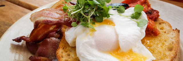 Cover image for post The Dawn Chorus, by Anitarosner