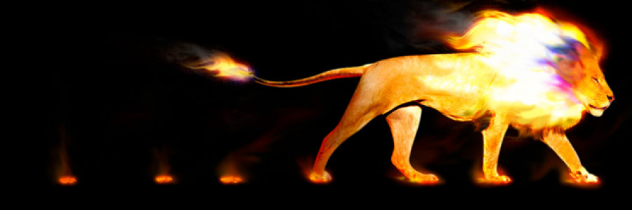 Cover image for post Trek forward, by InsanelyInLove