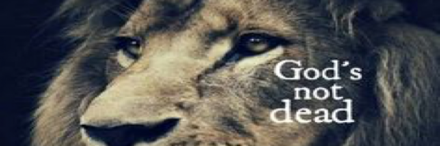 Cover image for post Silent death, by InsanelyInLove