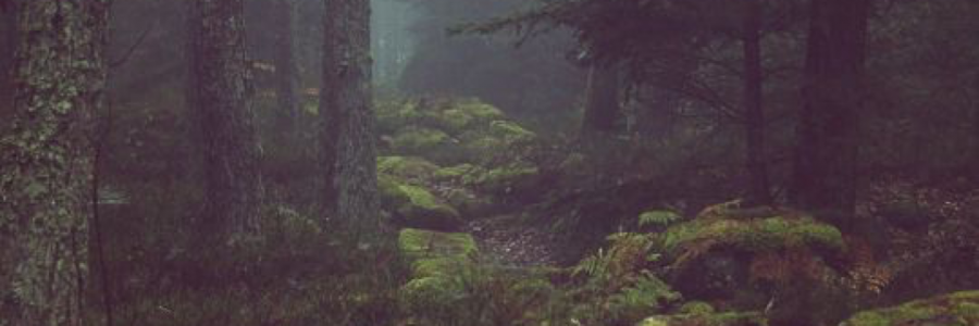 Cover image for post Running, by Vyxyn