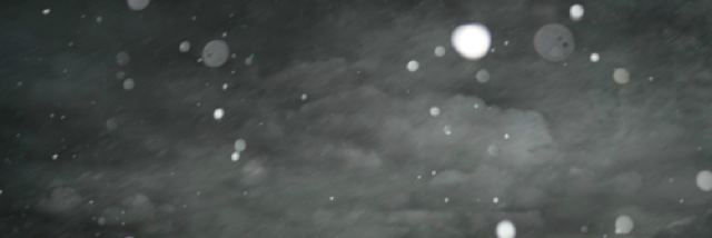 Cover image for post Love slowly faded, by annaconn45