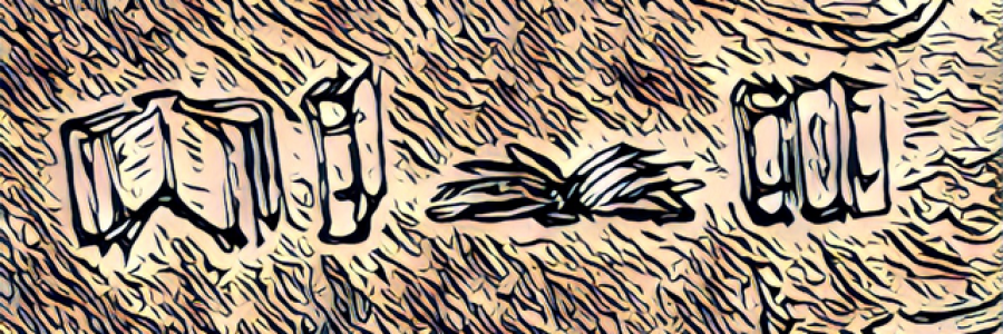 Cover image for post The Library, by MrPendlum