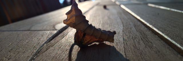 Cover image for post Untitled, by Sofreea