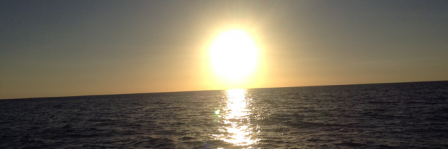 Cover image for post Our Time, by sleepyhead_fang