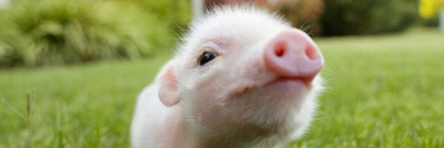 Cover image for post The God, by RaneMcC