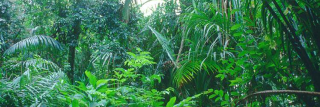 Cover image for post Sometimes taking the long path makes getting to where you want to go, much superior, by 03greedoluver