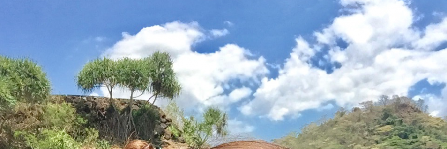 Cover image for post Leaving, by poetryprincess