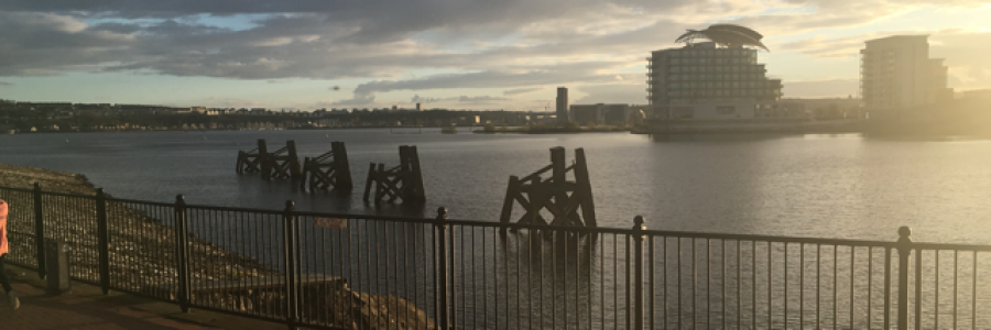 Cover image for post 1c, by Burrfoot