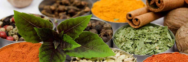 Cover image for post The recipe, by RiverStarr