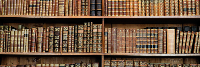 Cover image for post Curious Things, by RaneMcC