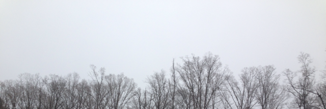 Cover image for post Untitled, by alenamazing