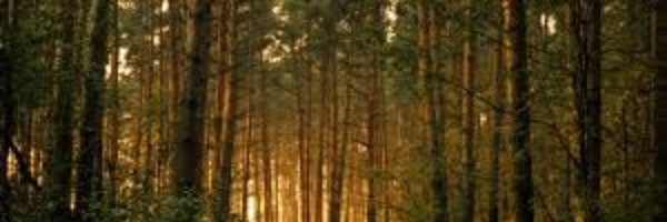 Cover image for post Heavy, by Cubiccoyote