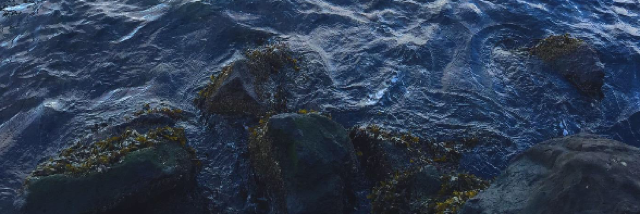 Cover image for post he told me I was a bitch in disguise, underneath a facade, by artemis