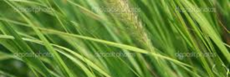 Cover image for post Workout, by sandflea68