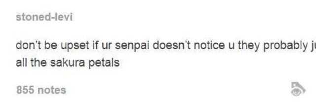 Cover image for post Whatever, by Rev_Frenchie