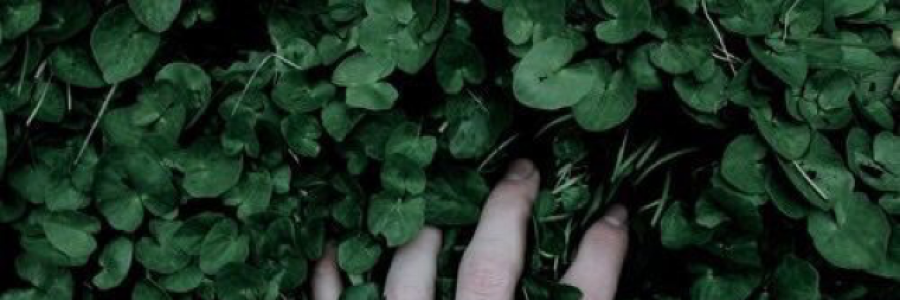 Cover image for post Untitled, by ownstuff