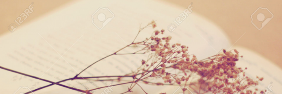 Cover image for post Untitled, by AmandaCary