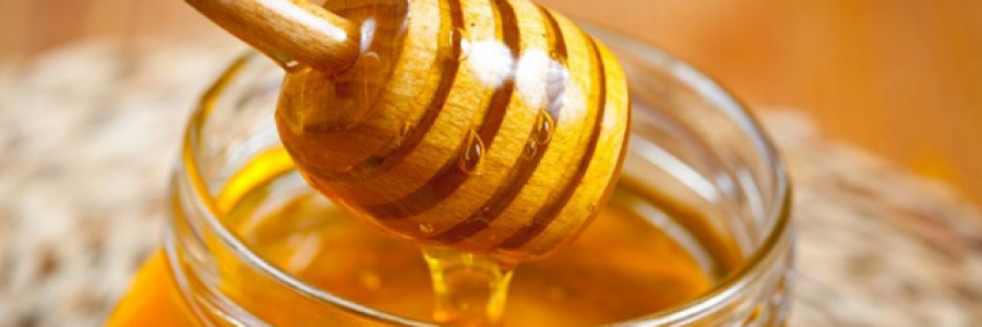 Cover image for post Honey, by SunnyBunny3