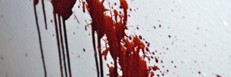 Cover image for post Redecorating, by Erin