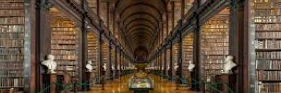 Cover image for post Trip to the Library, by Fortbruce