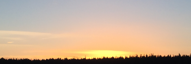 Cover image for post Life, by C_dog_martin