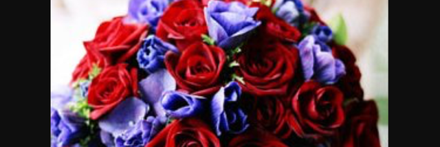 Cover image for post Hockey! ;), by C_dog_martin