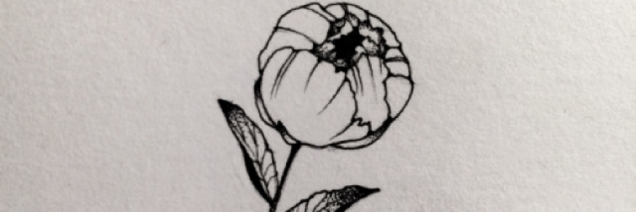 Cover image for post Untitled, by GentaBicaj