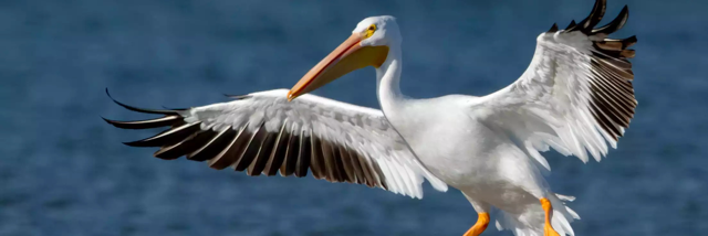 Cover image for post As they wheeled, by Railleur