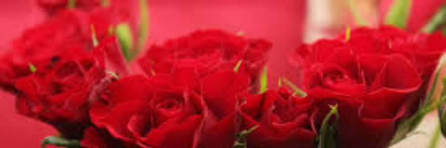 Cover image for post Love is Erotic, by happily_haunted