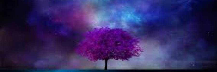 Cover image for post I didn't write this but wish I did, by 17