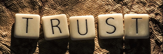 Cover image for post Trust, by Yowwa