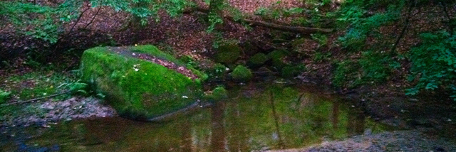 Cover image for post Solitude, by Winter_Heart