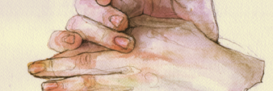 Cover image for post Solacium, by Lizzosaurus