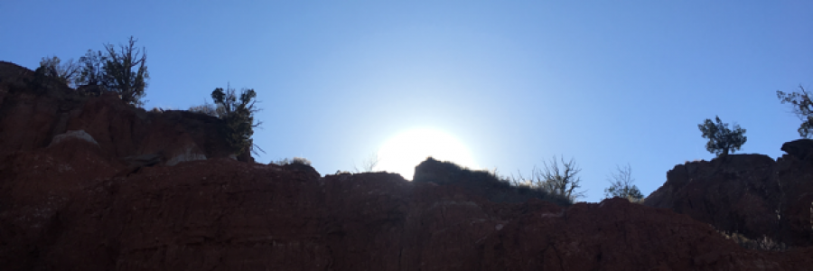 Cover image for post Bliss, by TheJeffKaminski