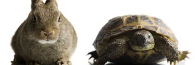 Cover image for post Life's Race, by WS