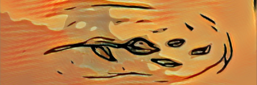 Cover image for post Forget Me, by MrPendlum