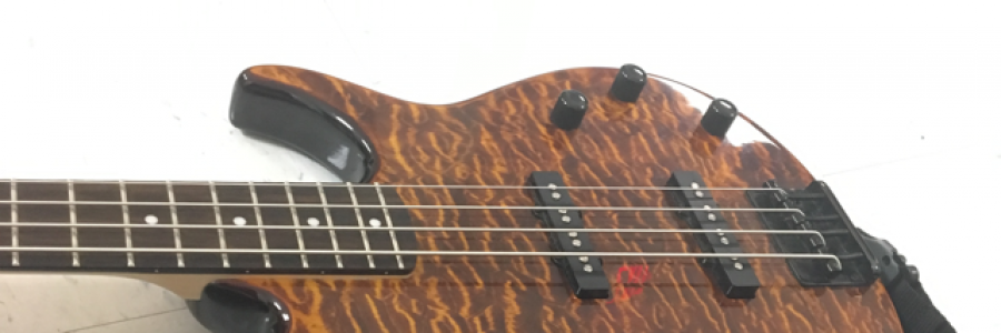 Cover image for post Four Stringed Kangaroo, by ggravendust