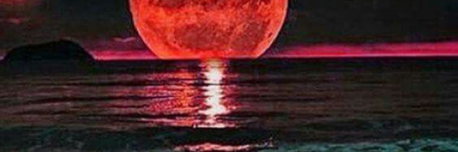 Cover image for post Goodnight, Moon, by YAngeL