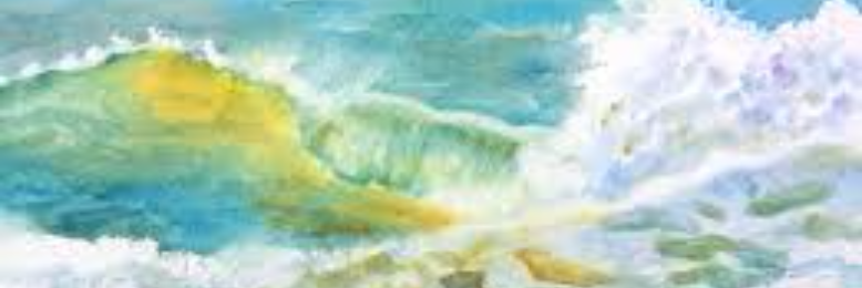 Cover image for post Sea Skin, by sandflea68